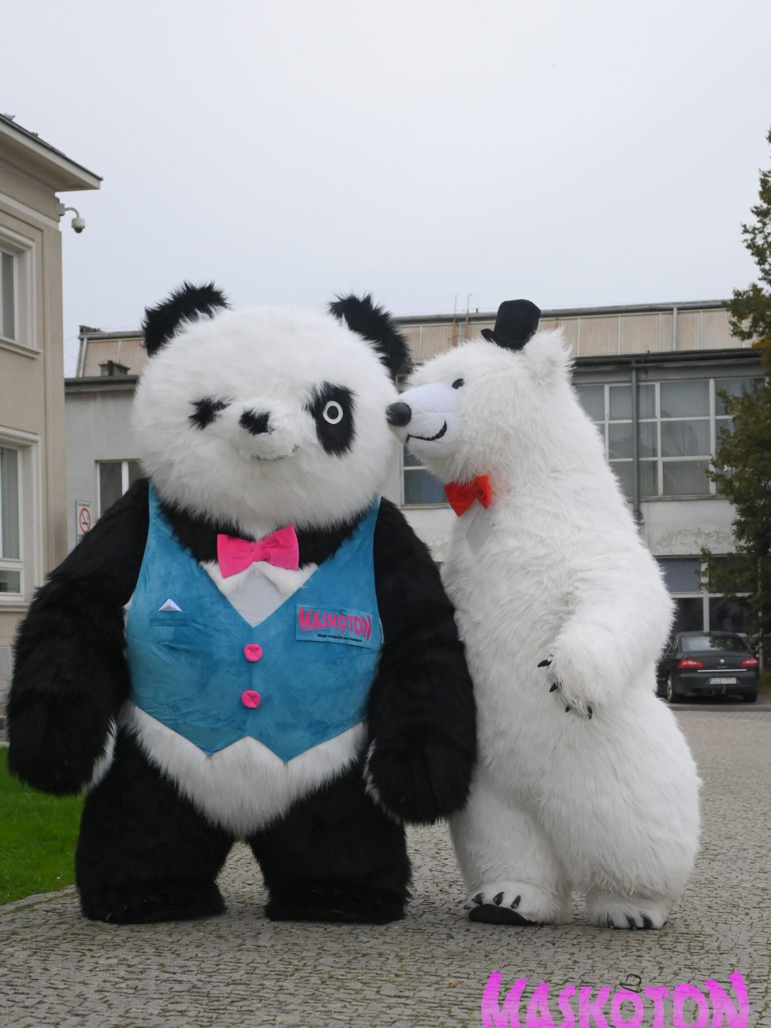 Poznaj nas - Biały miś Bruno i panda Yuki na dworcu obok siebie, panda puszcza oczko